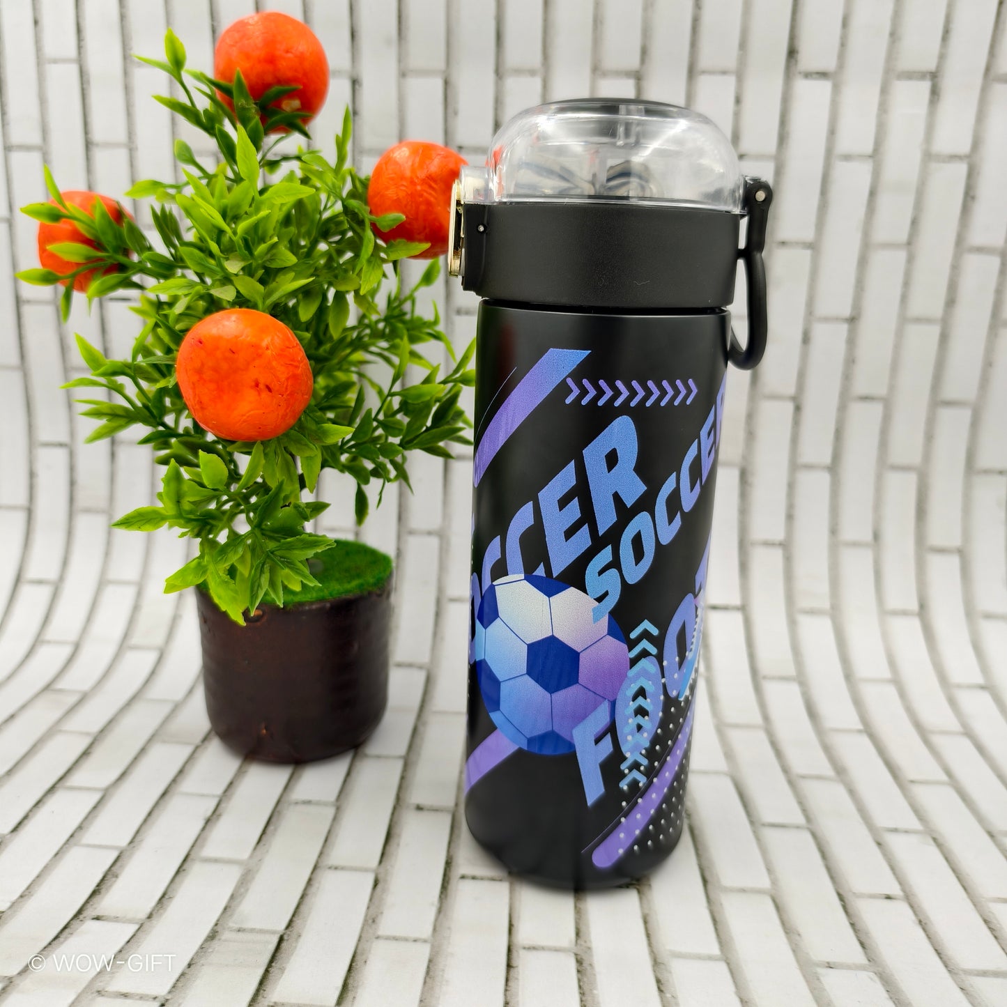 Insulated Flask
