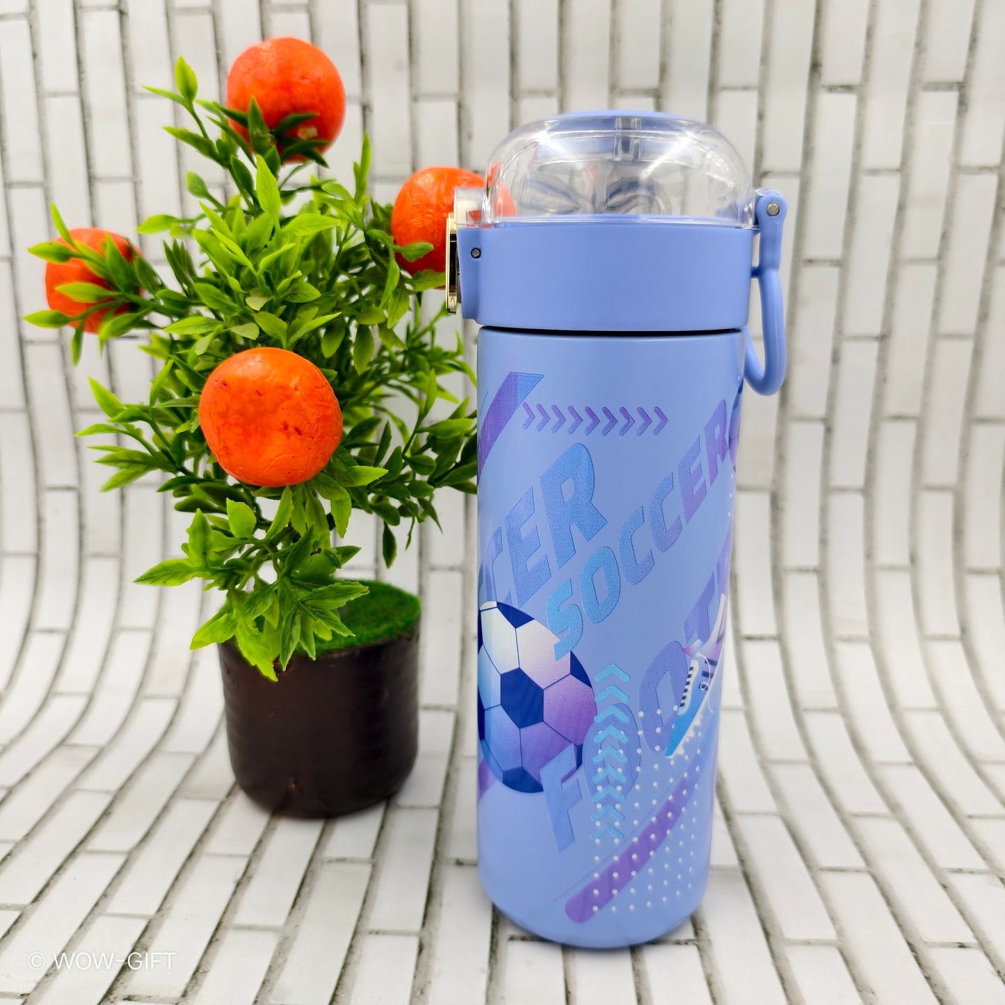 Insulated Flask