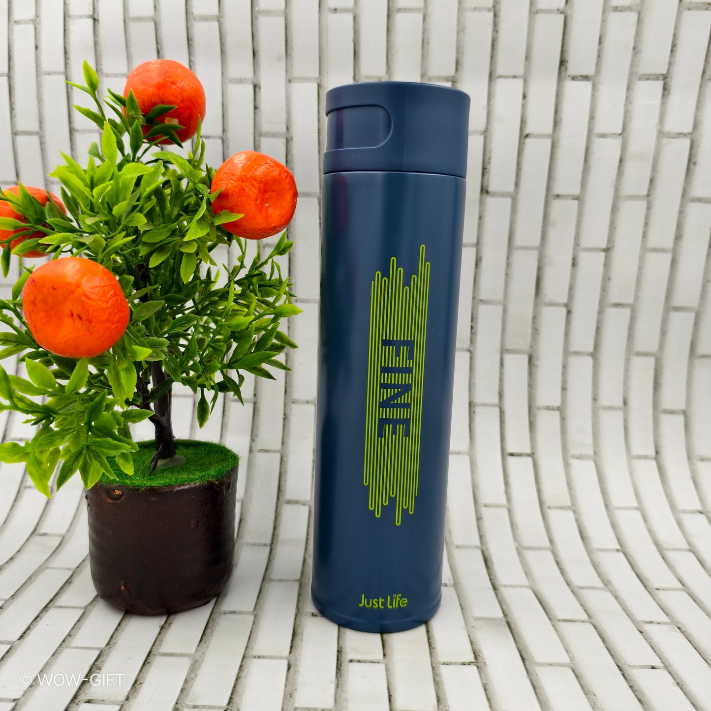 Vacuum Flask