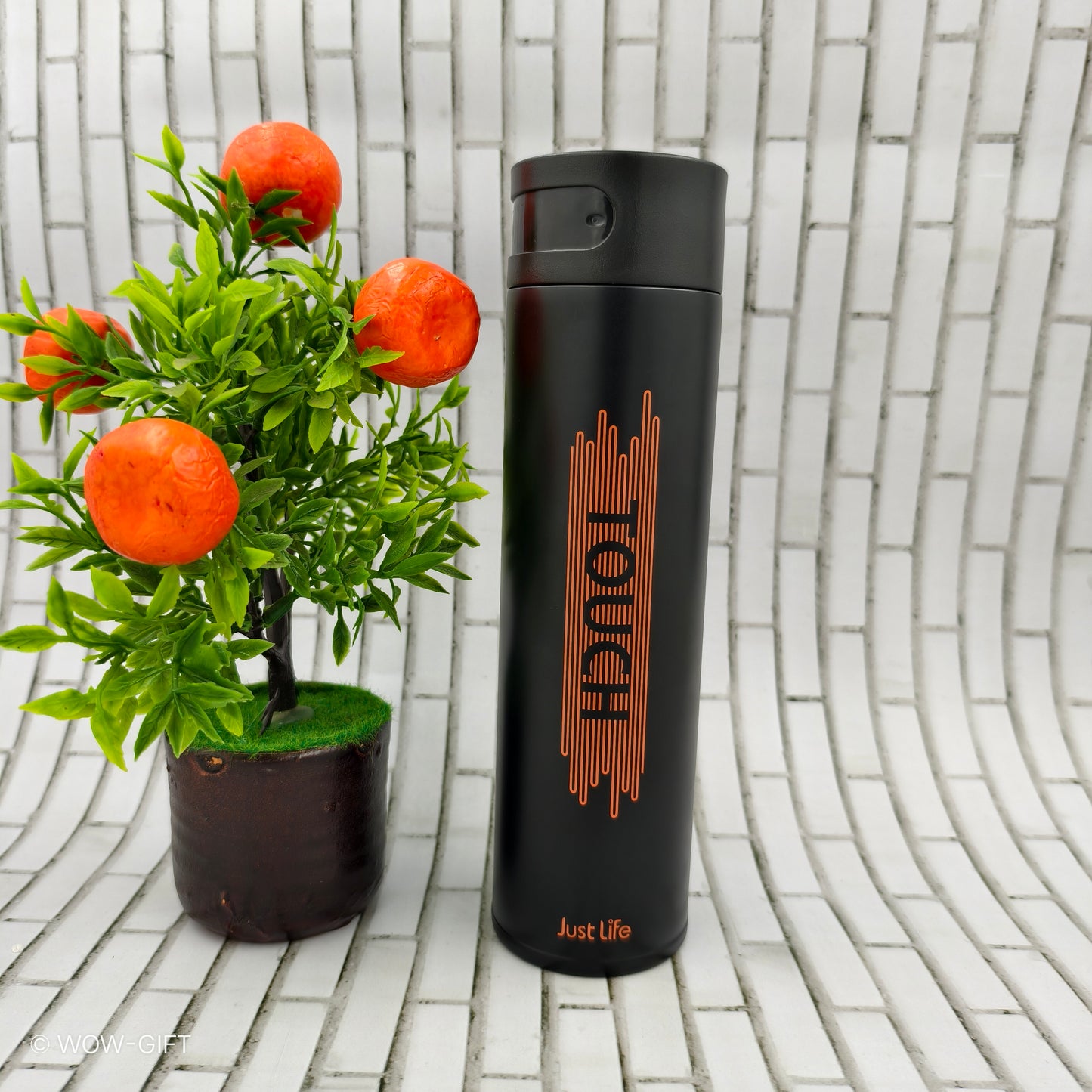 Vacuum Flask