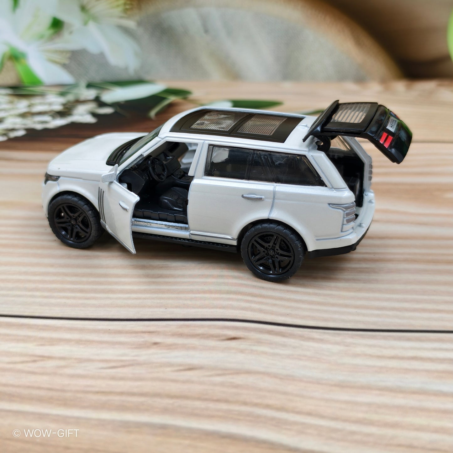 Metal Scale Model Car