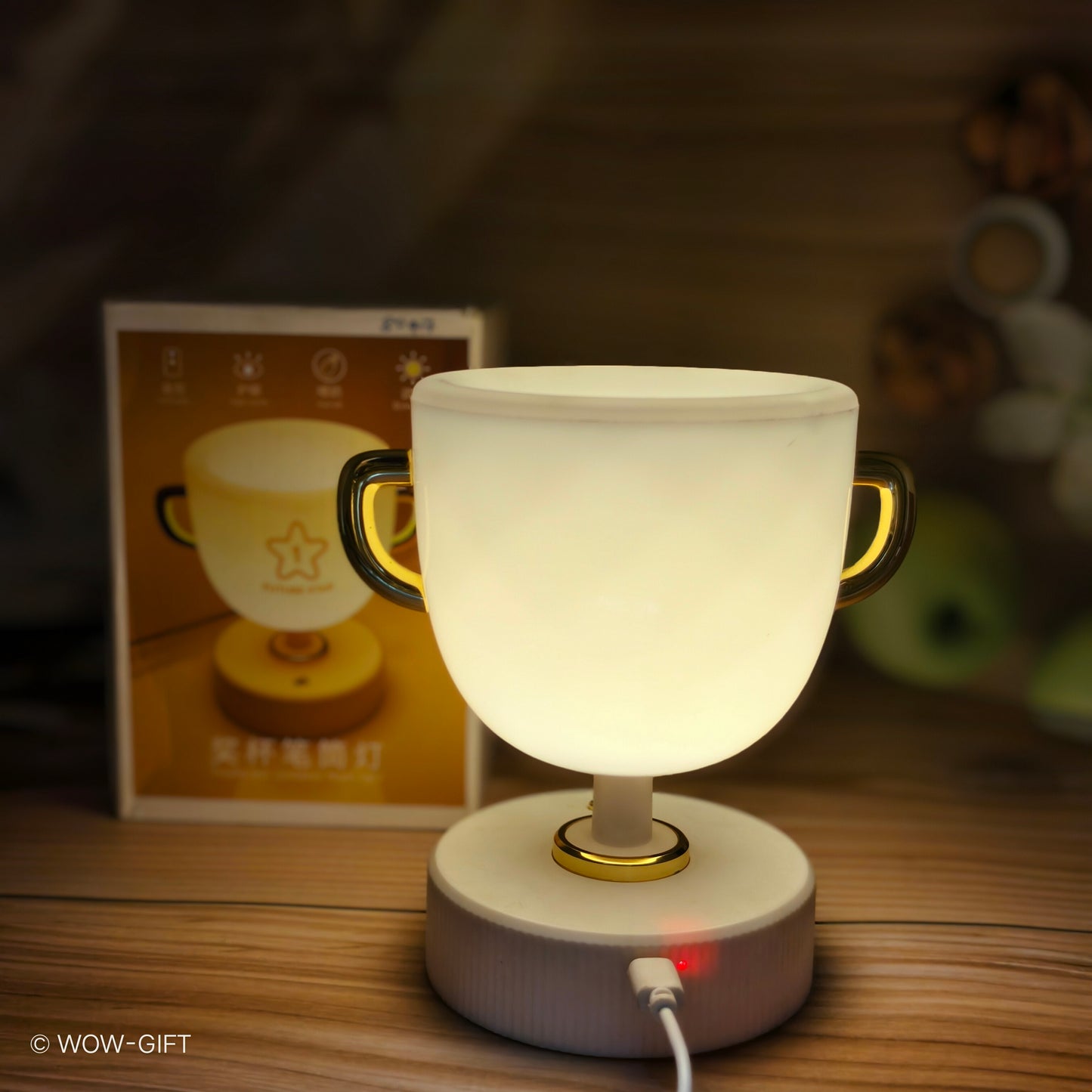 USB Trophy Lamp