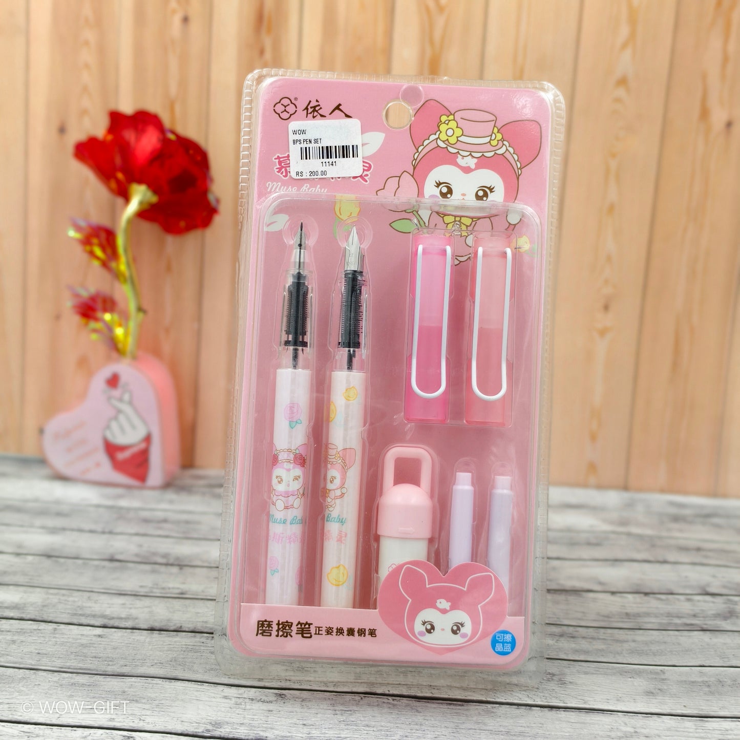 Erasable Fountain Pen Set