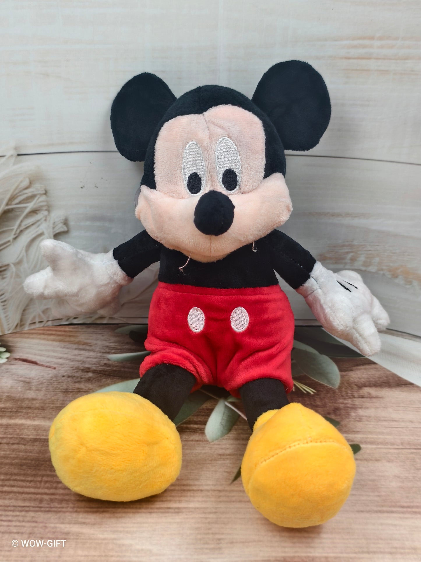 Mickey Mouse
