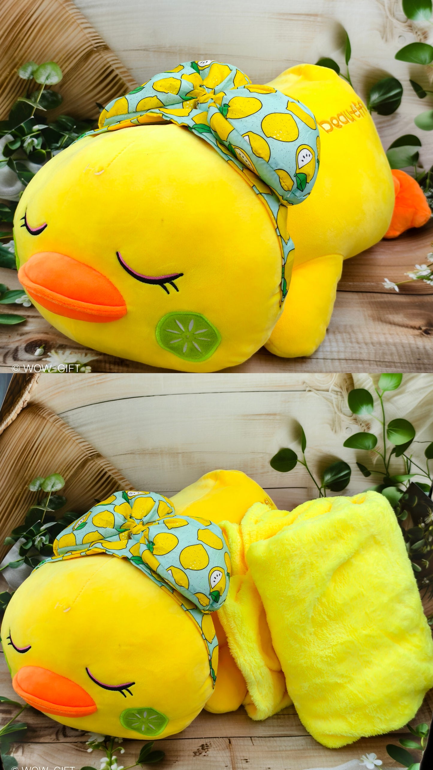 Sleeping Duck with Blanket