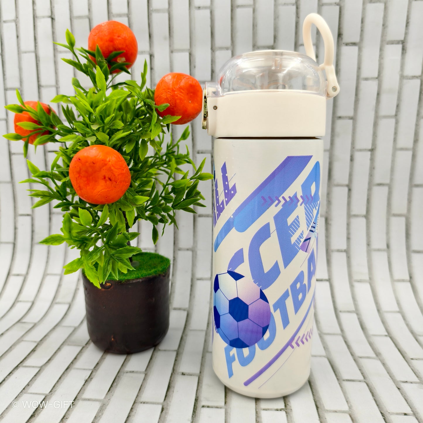 Insulated Flask