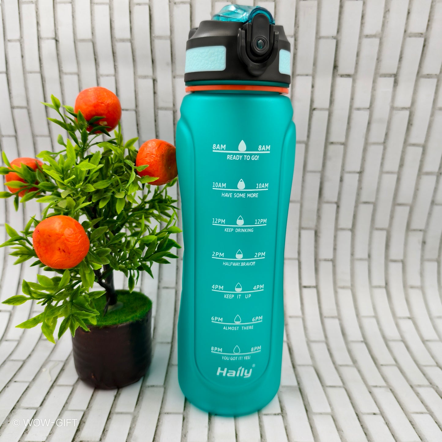 Haily Motivational Water Bottle