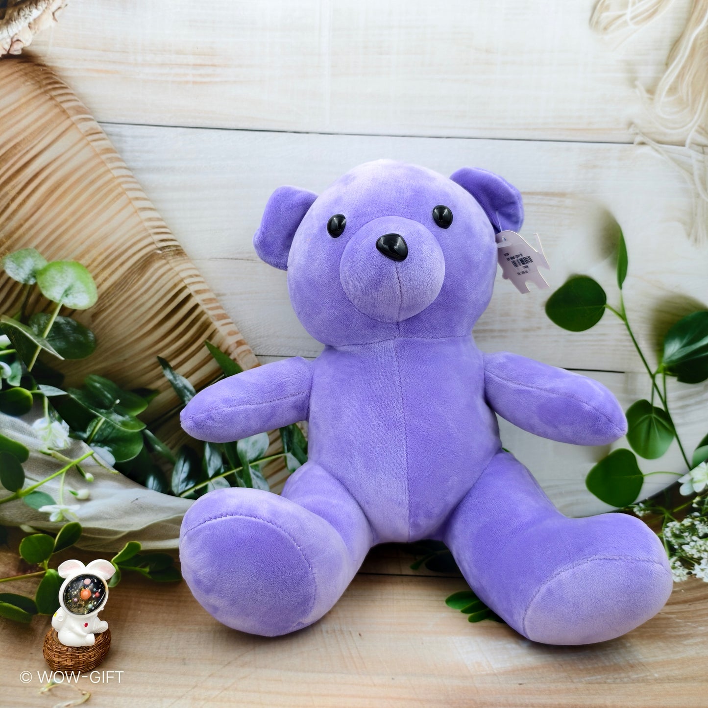 Shine Teddy Toy