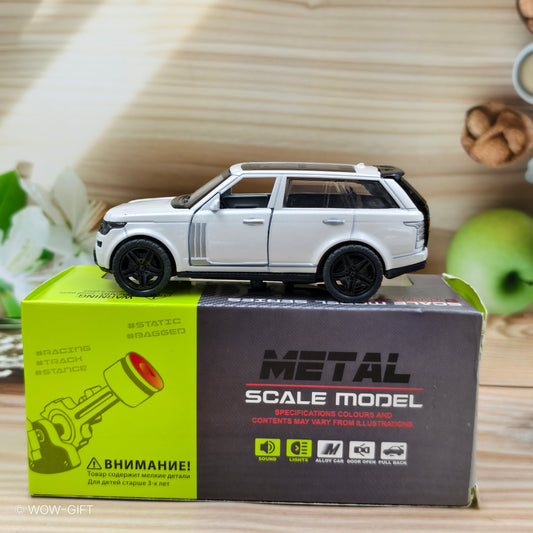 Metal Scale Model Car