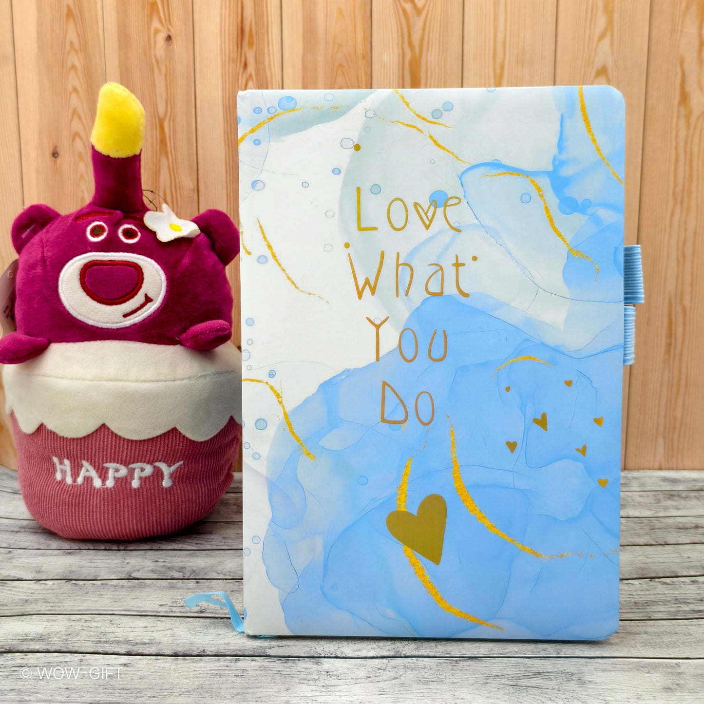 Fancy Diary