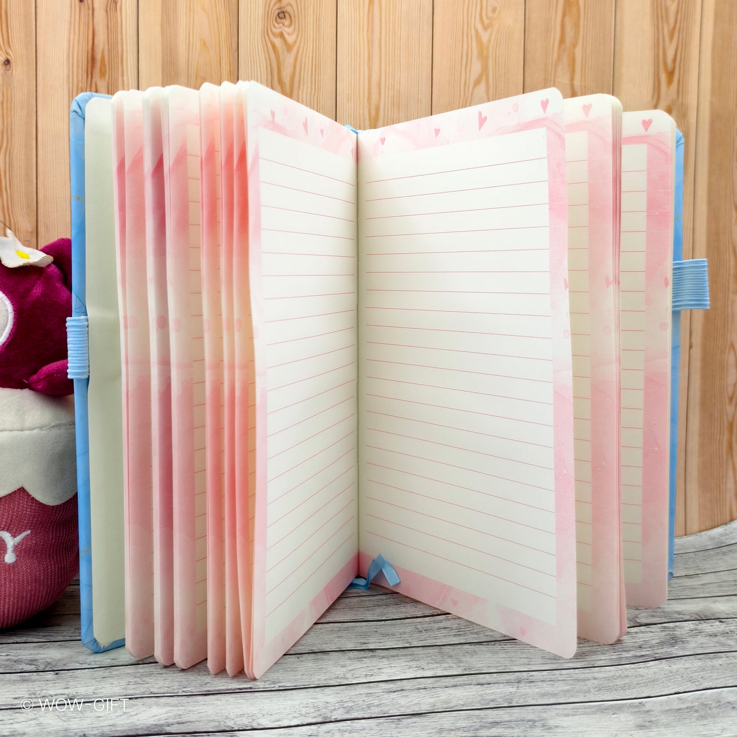 Fancy Diary