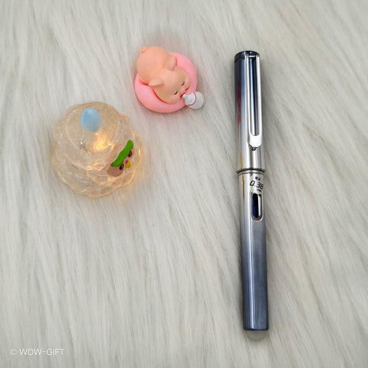 Erasable Fountain Pen