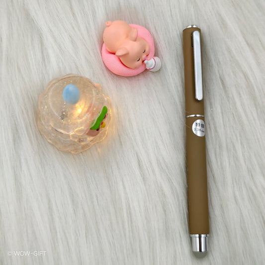 Erasable Fountain Pen