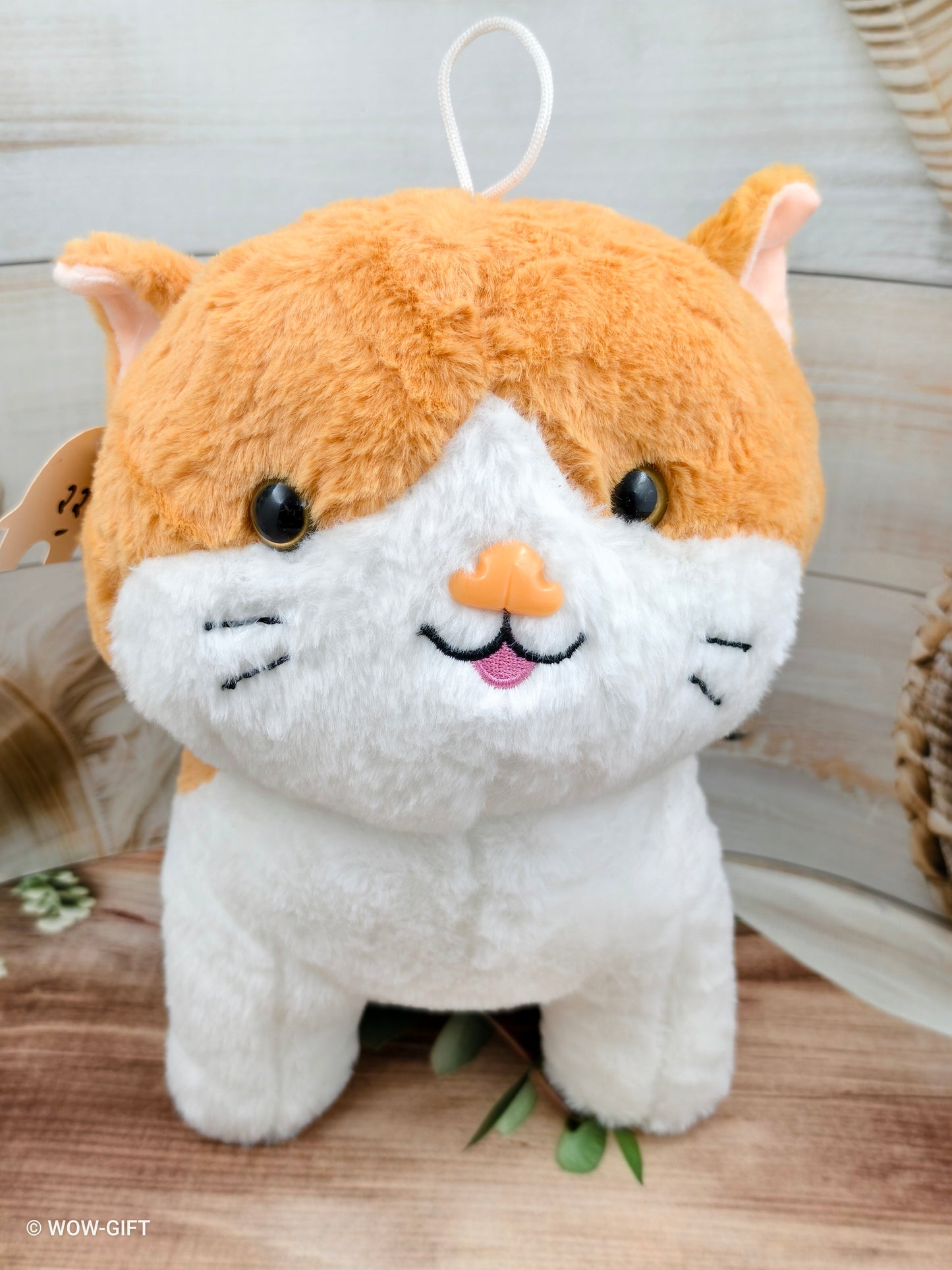 Bow Cat