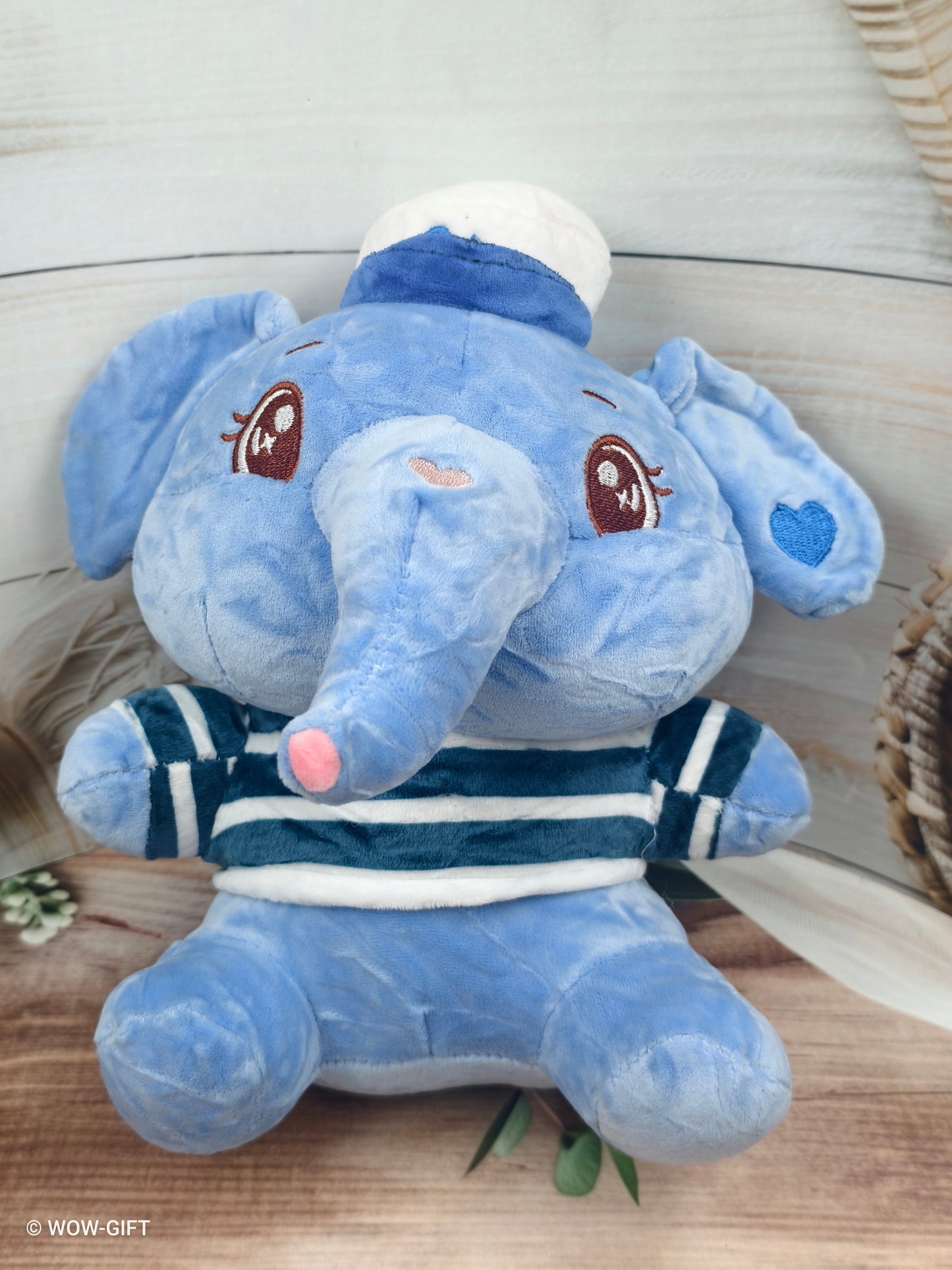 Cap Elephant