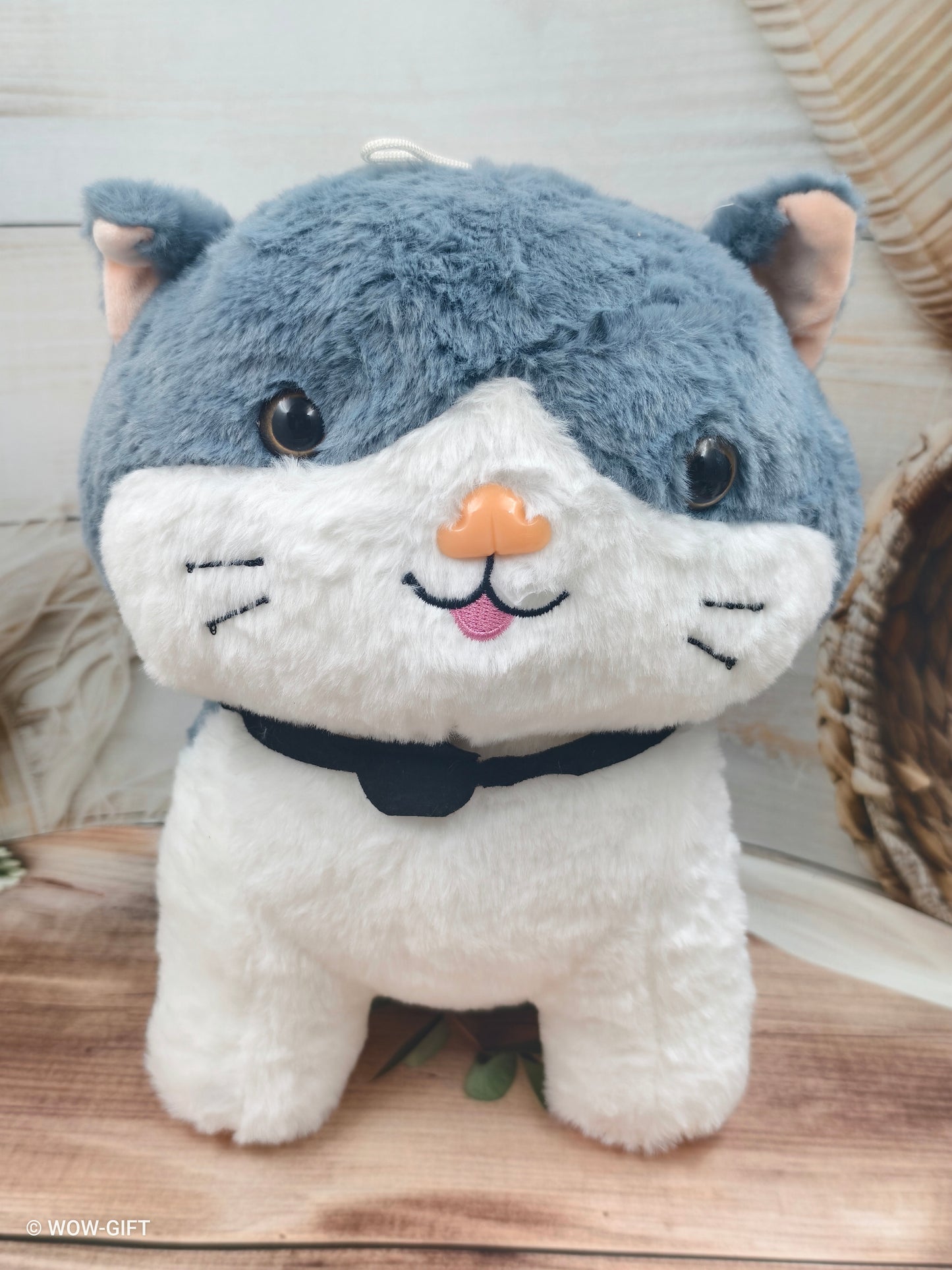 Bow Cat