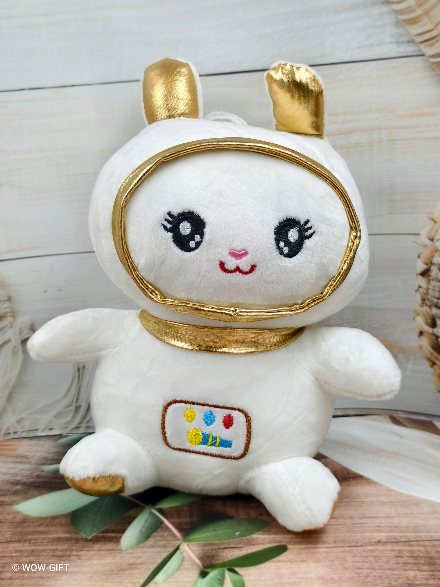 Space Rabbit