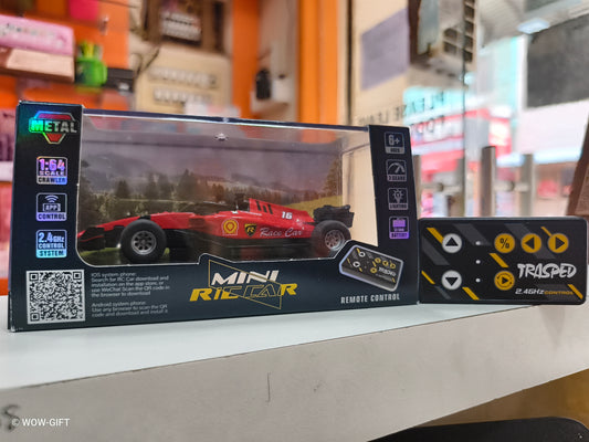 1:64 R/C Speed-regulating alloy model car